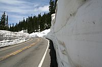 Chinook june1