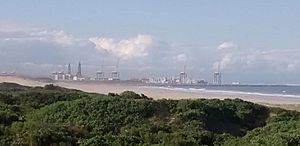 Coega Industrial Development Zone