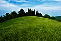 Colline bolognesi