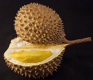 Durian in black.jpg