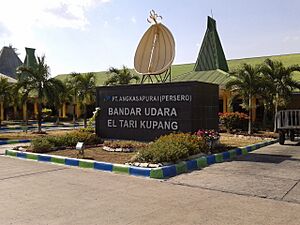 El tari airport