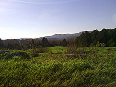 Field and Hills of Danville, Vermont