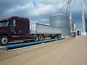 Grain elevator at Floris during 2010 wheat harvest