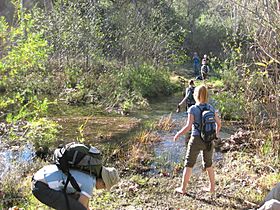 Fording san juan creek.jpg