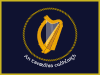 Irish Naval Service Flag.svg