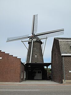 Kinrooi, molen foto2 2011-03-20 13.08