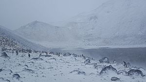 Lake in crater 