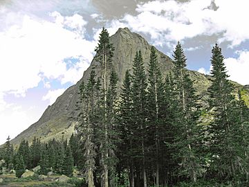 Lizard Head Peak (2843076282).jpg