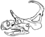 Machairoceratops skull.png