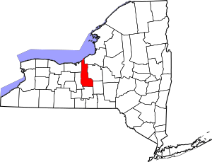 Map of New York highlighting Cayuga County