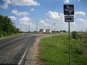 Matthews TX FM 950 Sign