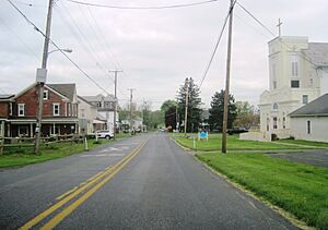 Chestnut Street in Mertztown