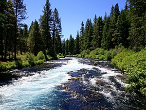 Metolius River near Wizard Falls