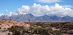 Organ Mountains