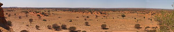 Outback view from Chambers Pillar