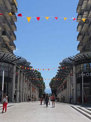 Palais des Pyrénées - Pau