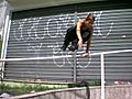 Parkour - Poliana