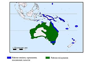 Pelecanus conspicillatus map1.jpg