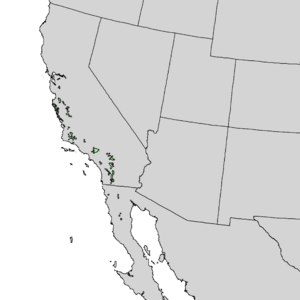 Pinus coulteri range map 1.png