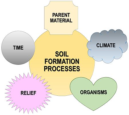 Soil-formation-factors-en