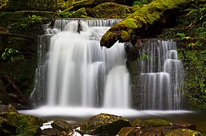 Strickland Falls Shadows Lifted