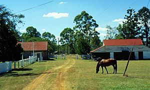 Taromeo Homestead complex view from entrance (2002).jpg