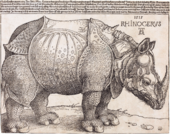 The Rhinoceros (NGA 1964.8.697) enhanced