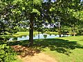 The Sourland Mountain Preserve, Hillsborough, New Jersey, USA June 2012 - panoramio (3)