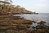 Unique hardpan formations-Blackrock Beach.jpg