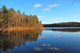 Walden Pond, 2010