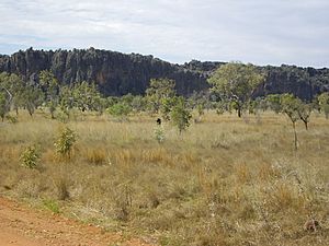 Windjana Gorge