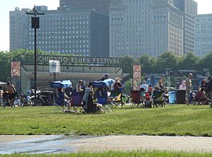 20080608 Chicago Blues Festival