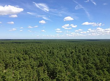 2014-08-29 11 51 25 View north-northeast from the fire tower on Apple Pie Hill in Wharton State Forest, Tabernacle Township, New Jersey