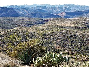 Apache Trail SW01