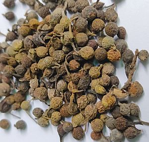 Ashanti pepper dried fruit