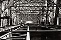 Blackwell's Island Bridge, ca. 1907