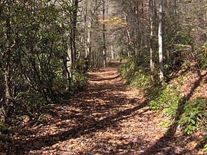 Bone-valley-trail