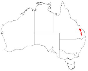 Boronia palasepalaDistMap87.png