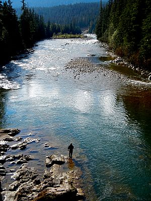 Copper (Zymoetz) River