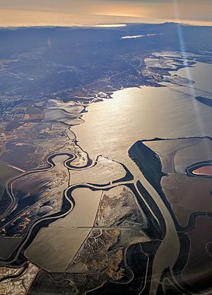 Coyote Creek aerial