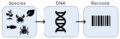 DNA Barcoding