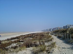 De Panne Dunes et plage