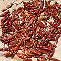 Dried Capsicum annuum-Red Chilli Pepper on Nanglo