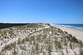 Dunes d'Hourtin