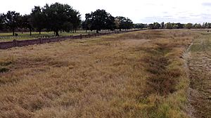 Freedmen's Cemetery, Chalmette, LA. 2019.jpg