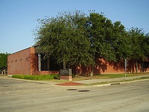 HeningtonLibraryHouston