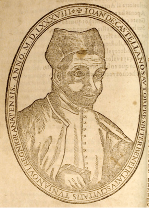 Portrait of Juan de Castellanos (1589)