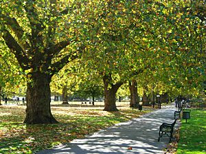 Kennington Park - geograph.org.uk - 1009307.jpg