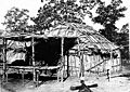 Kickapoo wickiup