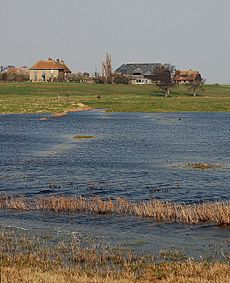 Kings Hill Farm buildings - geograph.org.uk - 376447